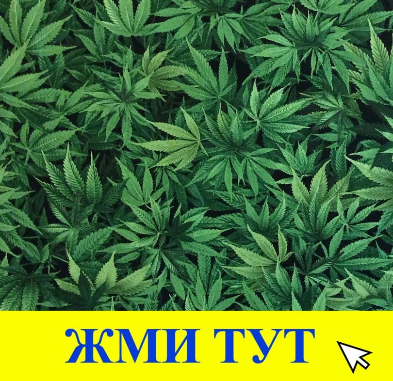 Купить наркотики в Кудымкаре